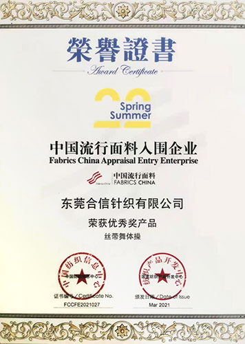 Award-winning work: Ribbon Gym